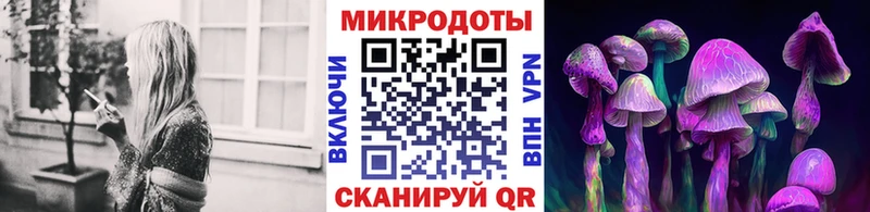 OMG онион  Красавино  Псилоцибиновые грибы мицелий 